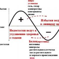 Зеленый чай в капсулах для похудения